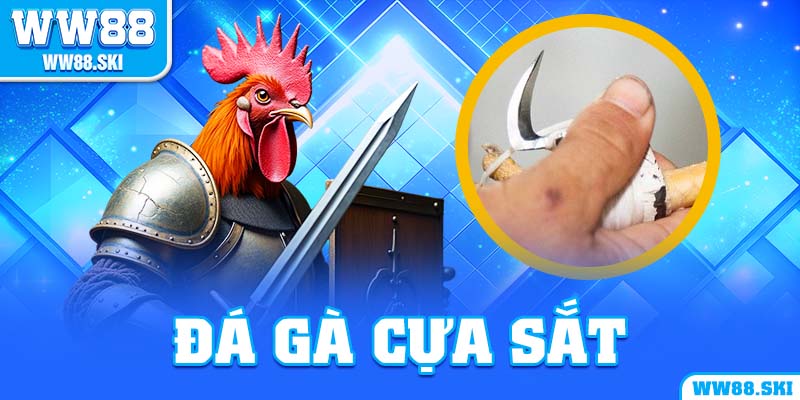 Đá gà cựa sắt