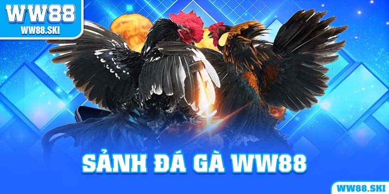 Sảnh đá gà WW88